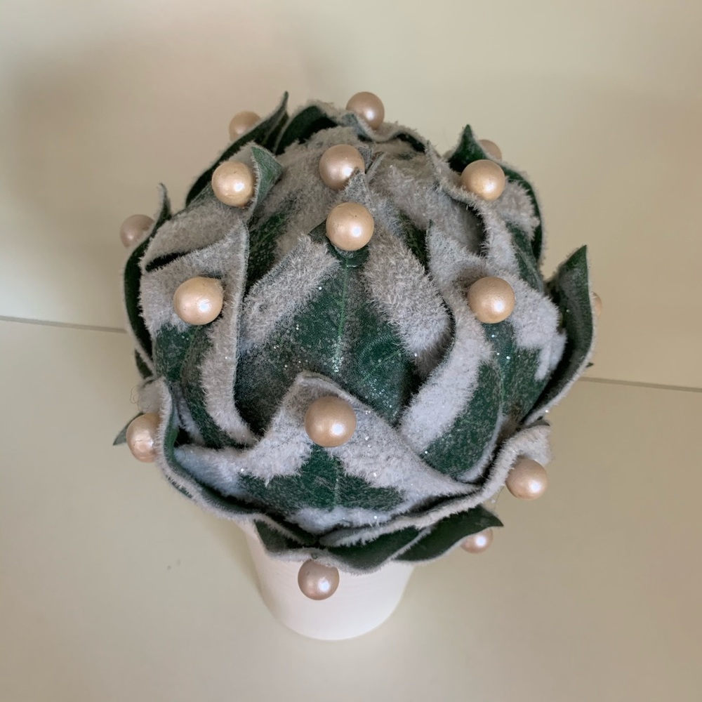 Pearl frosted fuzzy plant - Picture 8 of 8